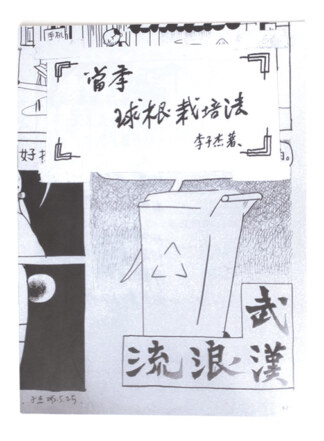 當季球根栽培法<br>How to Grow Flower Bulbs Today