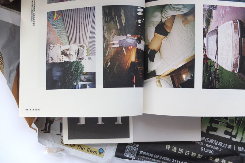 流泥 Concrete Flux #02<br>混雜性 Hybridity - Image 3