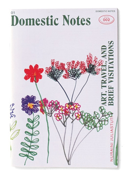 Domestic Notes Volume 002:<br>Art, Travel, and Brief Visitations
